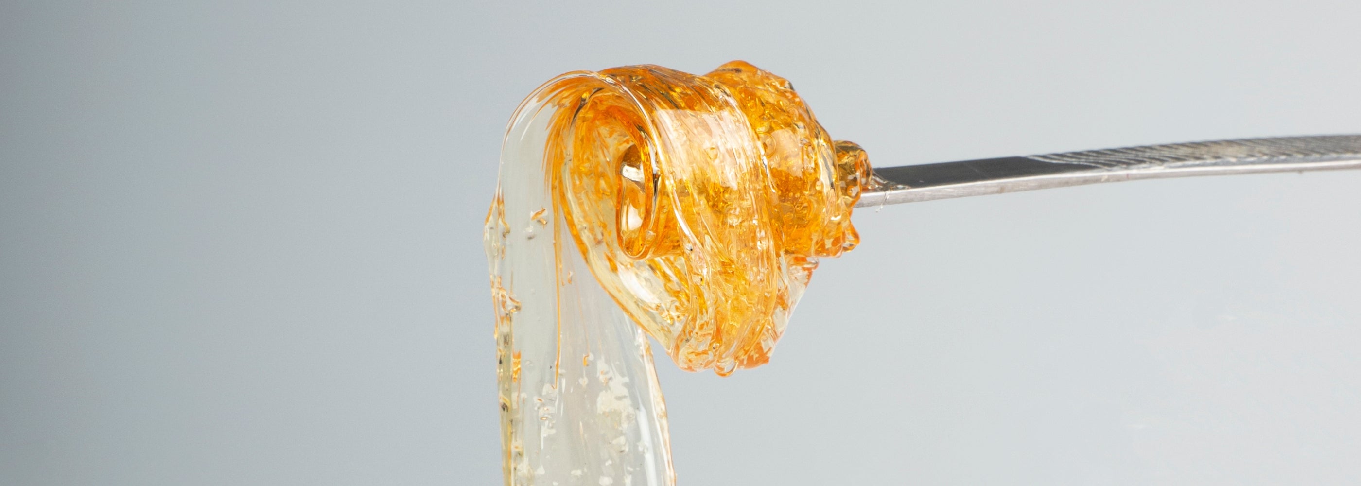Close-up of amber-colored hash rosin on a metal tool